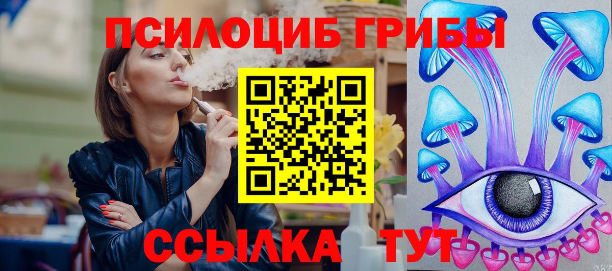 Псилоцибиновые грибы Psilocybine cubensis Среднеуральск
