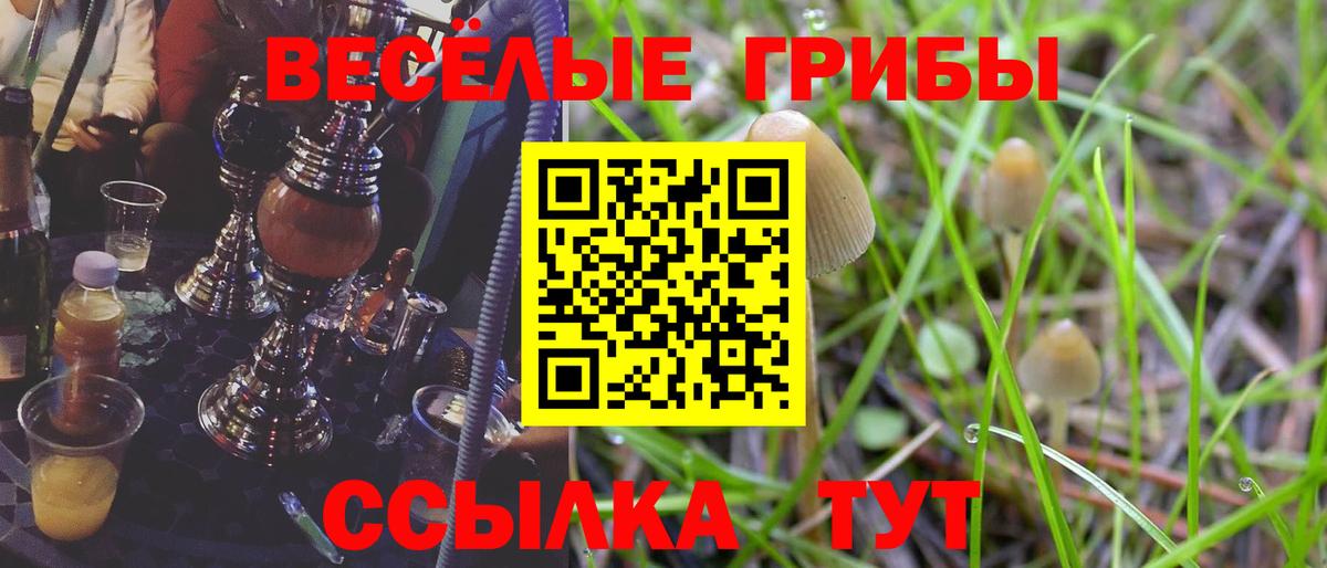 купить закладку  Псилоцибиновые грибы ЛСД  Вход с VPN  Среднеуральск  Галлюциногенные грибы Cubensis 